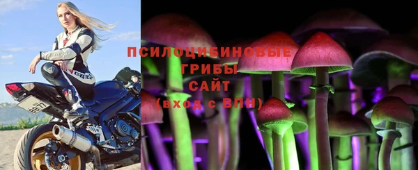 мяу мяу мука Баксан