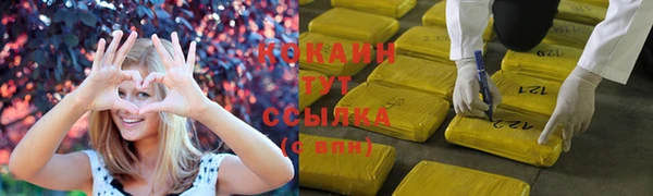 мяу мяу мука Баксан