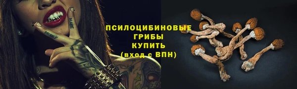 крисы Балабаново